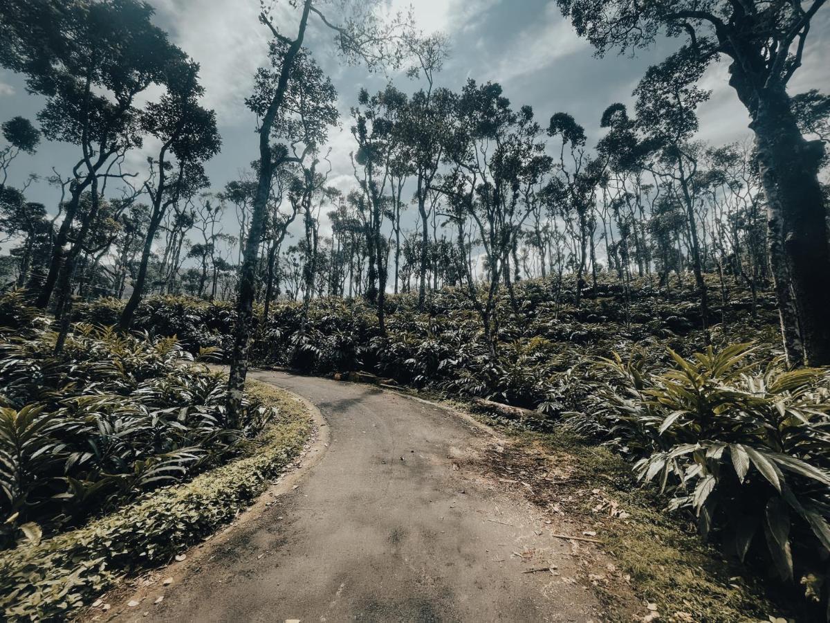 Mystic Mayapott, Thekkady Exterior photo