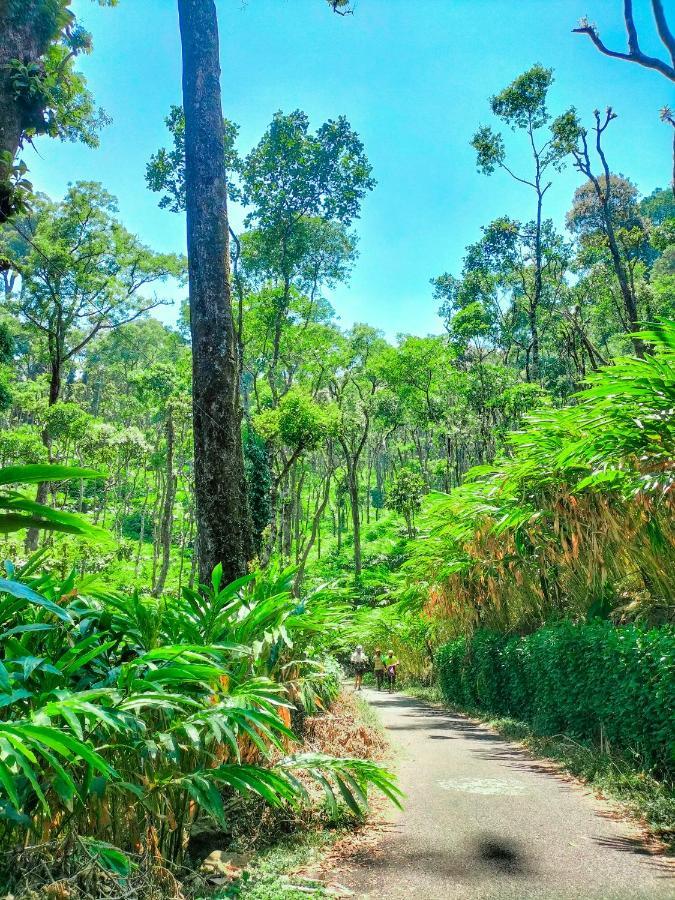 Mystic Mayapott, Thekkady Exterior photo
