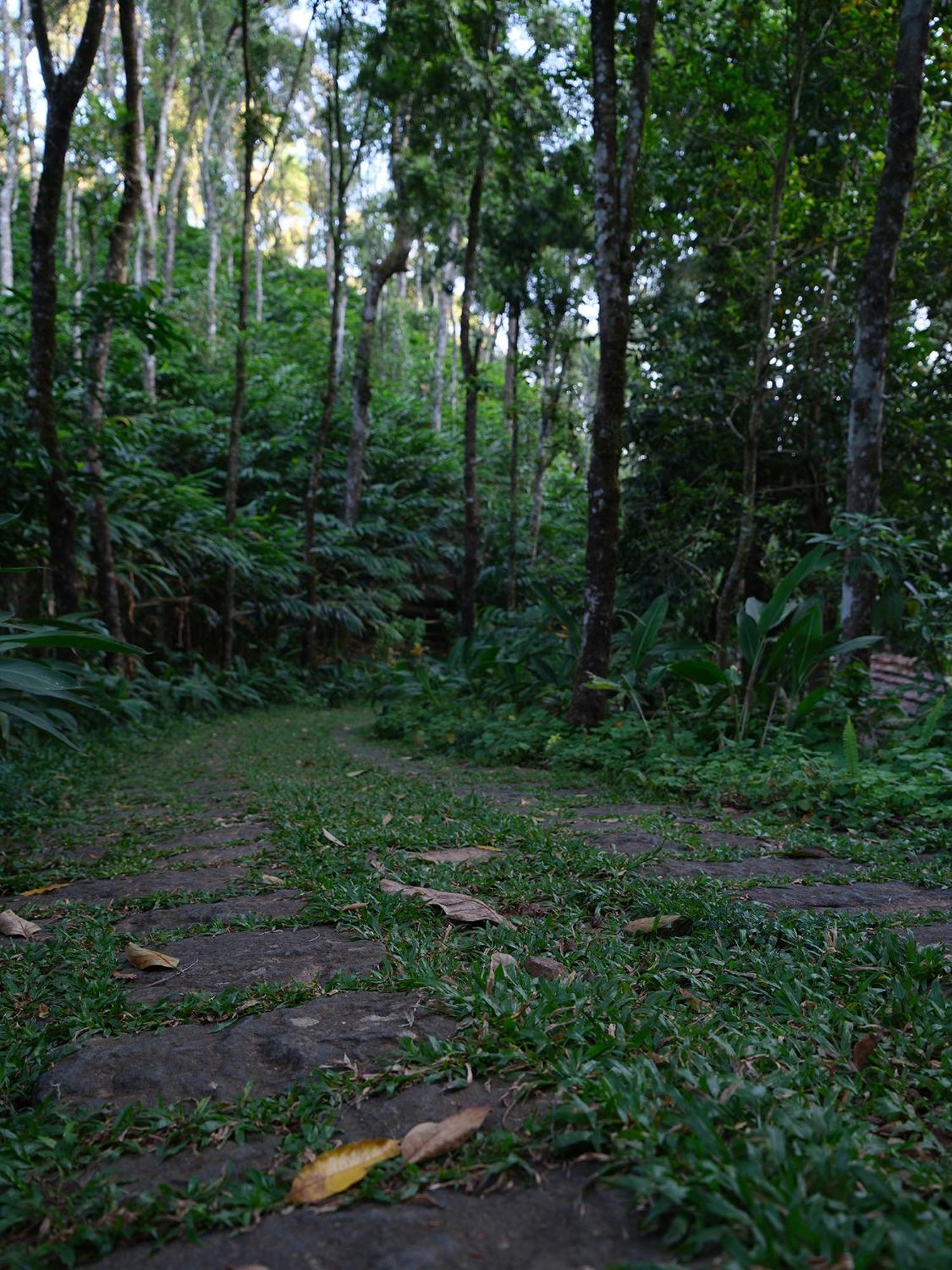 Mystic Mayapott, Thekkady Exterior photo